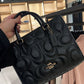 COACH GRANDE BOLSO