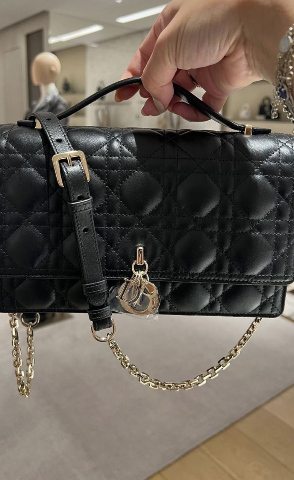 BOLSO DIOR 02