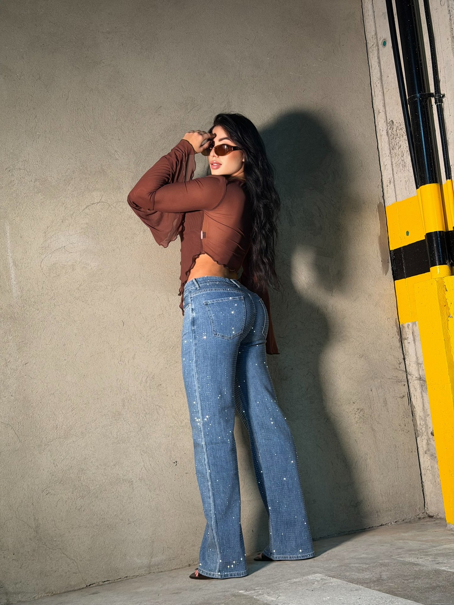 LC-24209 JEAN BRILLOS