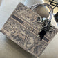 BOLSO DIOR PLAYA