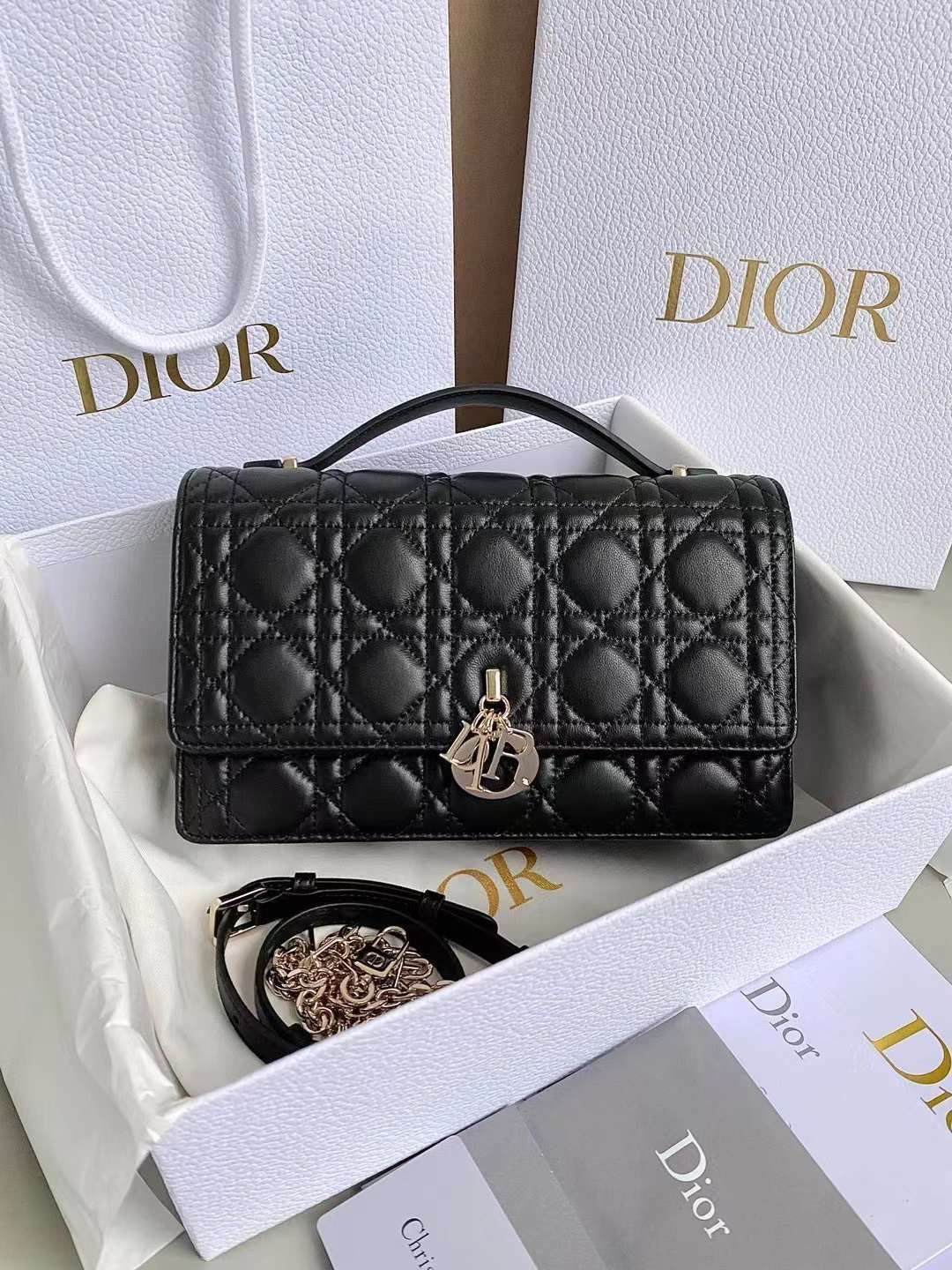 BOLSO DIOR 02