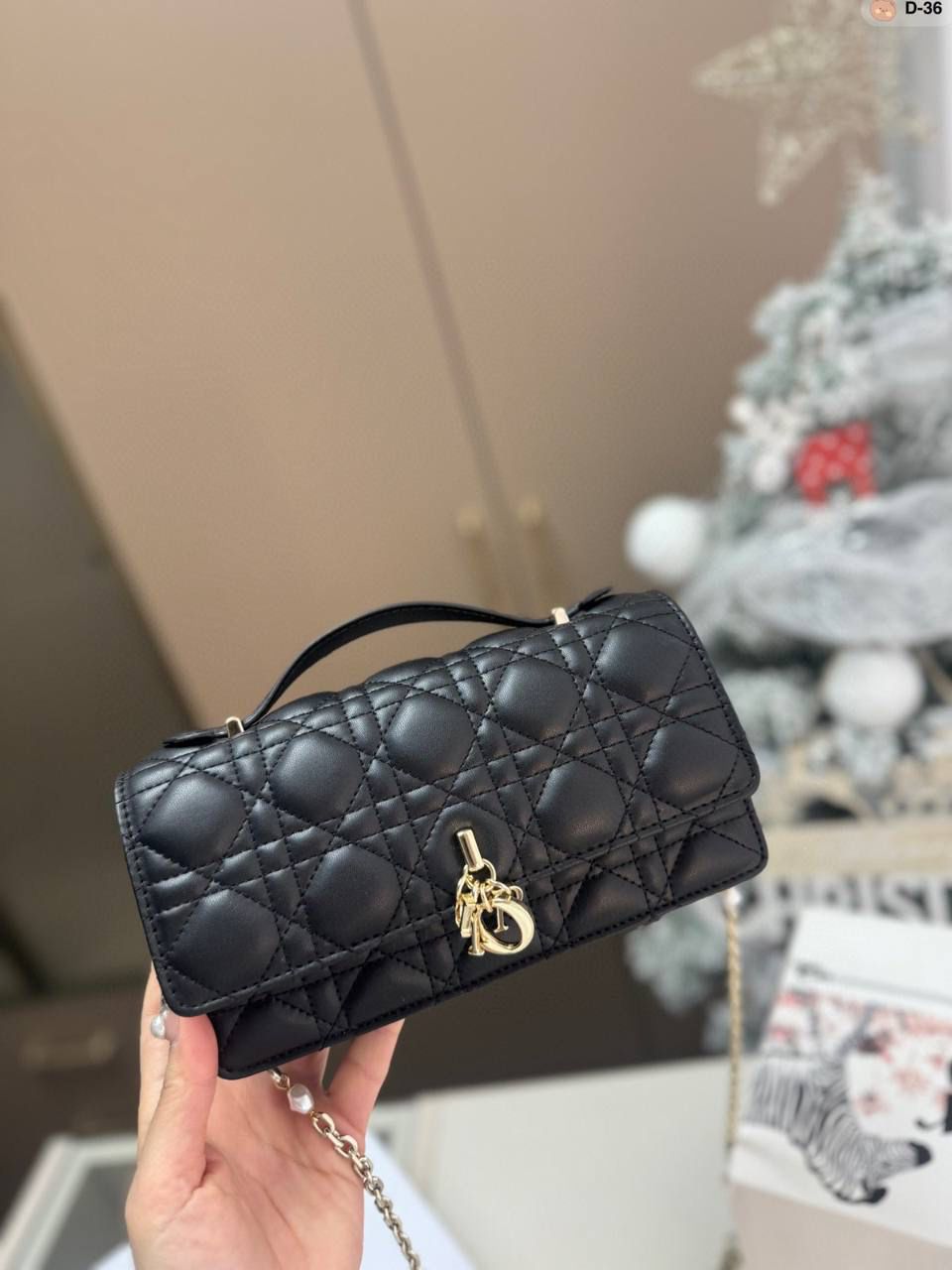 BOLSO DIOR 02